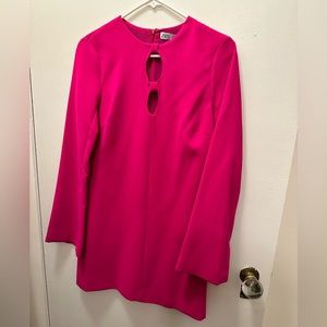 NWT Zara fuchsia long-sleeved dress